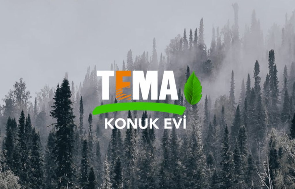 TEMA Foundation