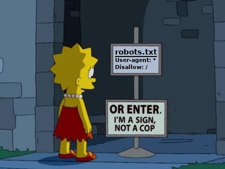 Robots.txt Sanatı ve İncelikleri